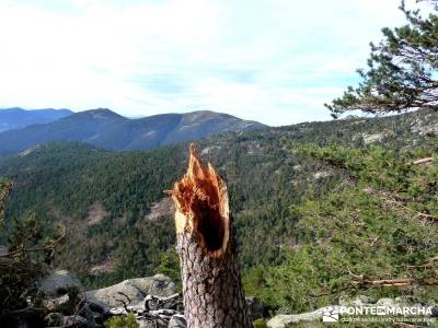 Siete Picos:Senda Herreros,Camino Schmid(Schmidt); gente senderista; madrid escapadas;senderismo con